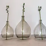 ホテル Casa Vitae