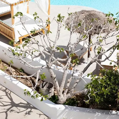 Hotel Casa Vitae Kamari (Santorini)