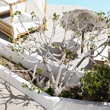 Casa Vitae 5* Kamári