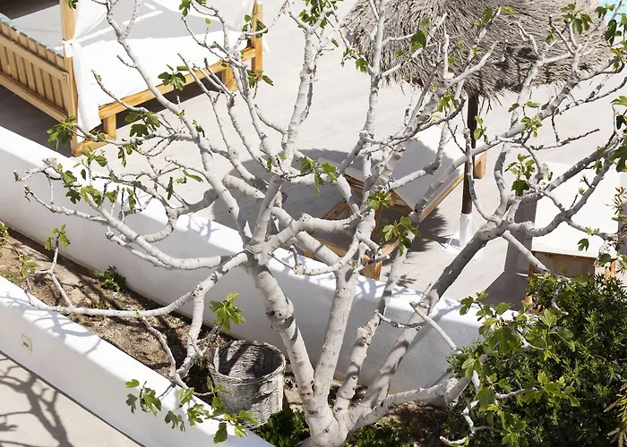 Casa Vitae 5* Kamari (Santorini)